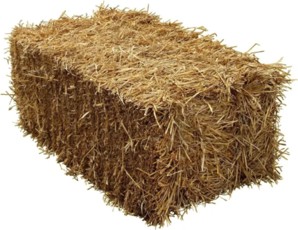 15 kg de paille d’orge fraîche – Pour cochon d’Inde, lapin, hamster, cheval/ Commande mini 20