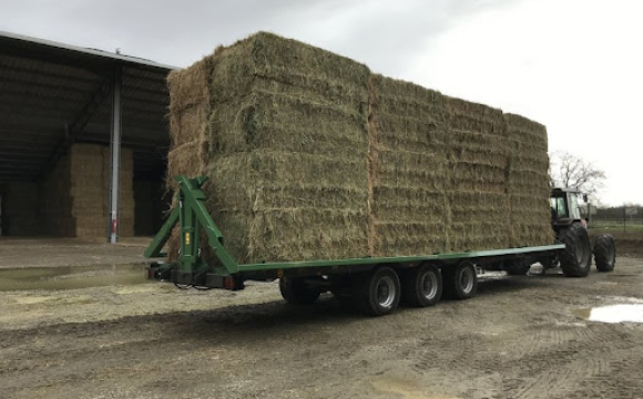 image_2026-01-06_151122238